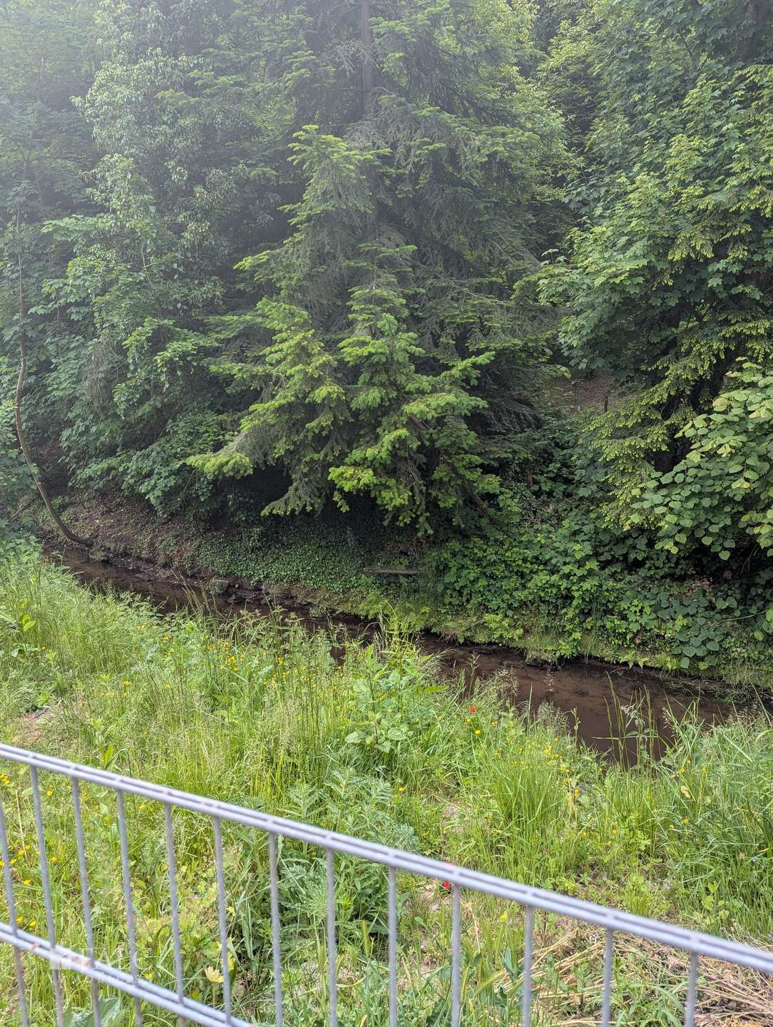 Isenach Bach direkt hinter dem Garten